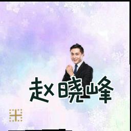 赵晓峰